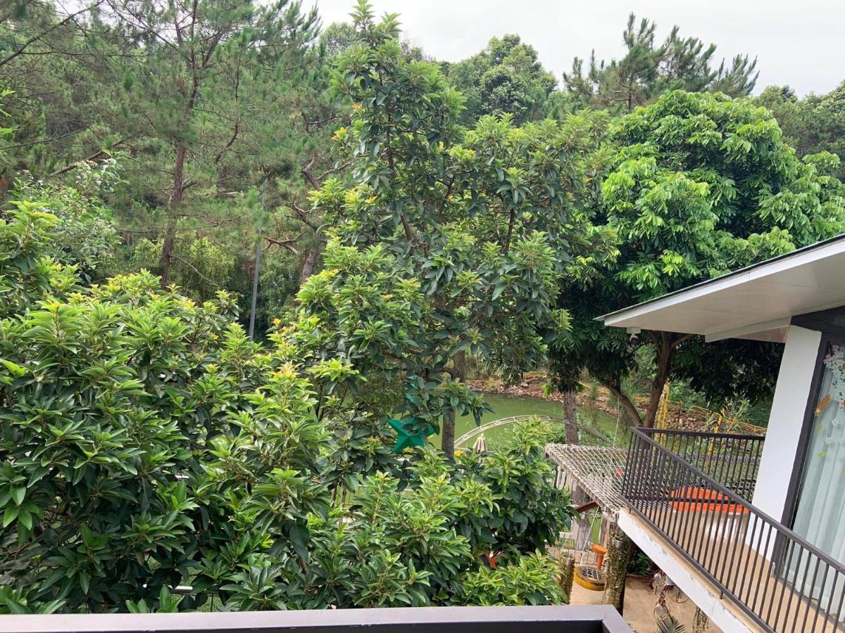 Lake View Homestay Pleiku Bagian luar foto